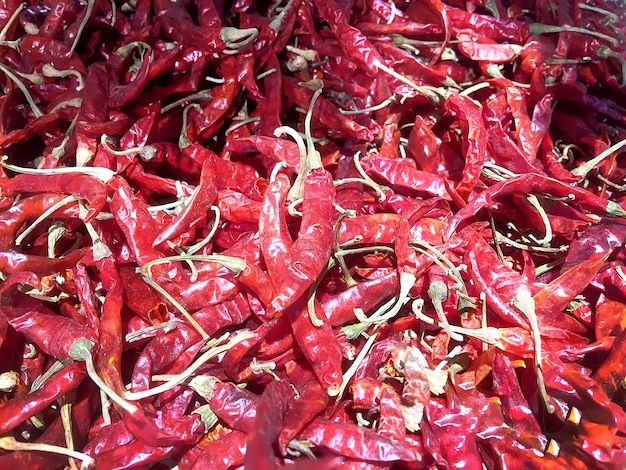 Chiles secos