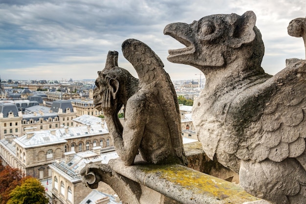 Chimären der Kathedrale von Notre Dame de Paris mit Blick auf Paris