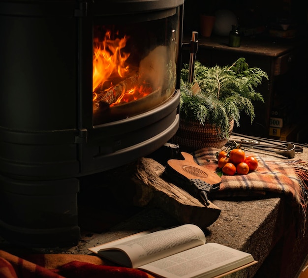 Chimenea ardiendo en una habitación oscura con cuadros de mandarinas