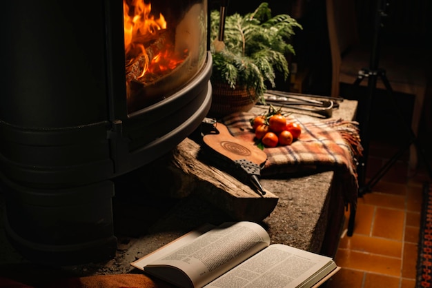 Chimenea ardiendo en una habitación oscura con cuadros de mandarinas