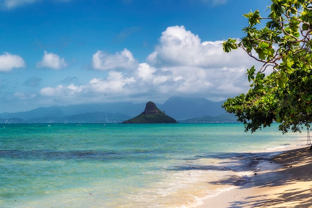 Chinamans Hut Inselansicht und schönes türkisfarbenes Wasser am Strand von Kualoa, Oahu, Hawaii