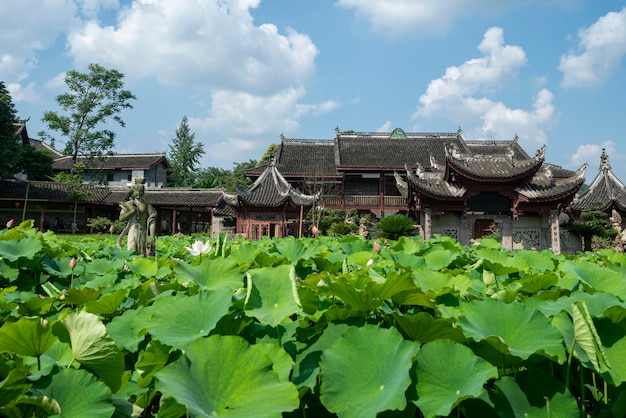 Chinesische antike Architekturgartenlandschaft und Teiche voller Lotusblumen