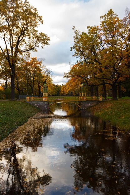 Chinesische Brücke im Alexander Park im Herbst im Oktober Der Hintergrund