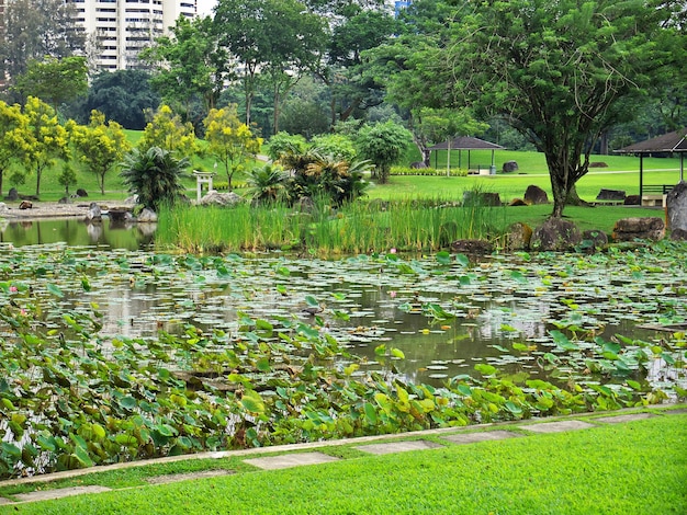 Chinesische und japanische Gärten Singapur