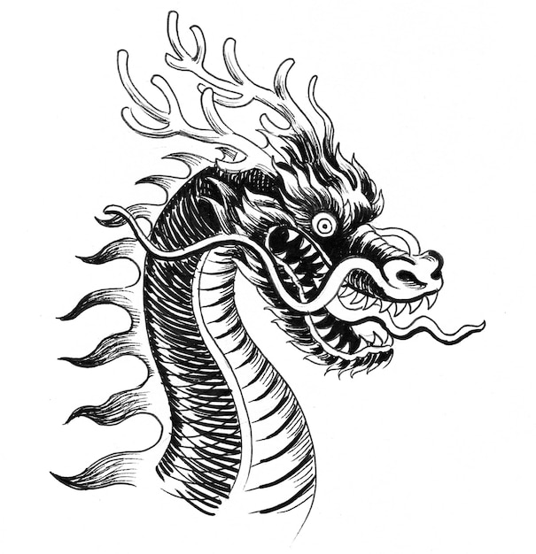 Chinesischer Drache. Tinte Schwarz-Weiß-Zeichnung