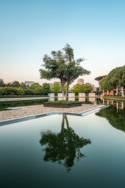 Chinesischer Zen-Pool und Baum