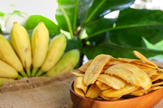 Chips de plátano en un recipiente contra el fondo de plátano joven cultivado