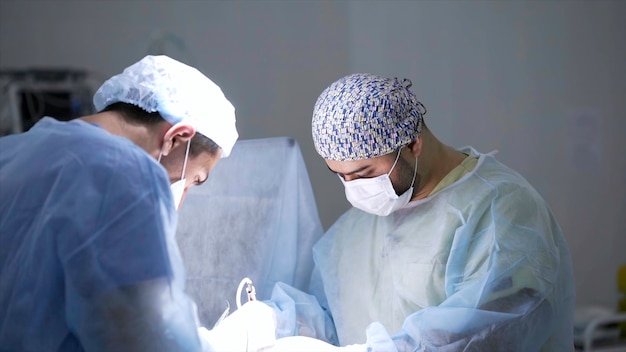 Chirurgen kauterisieren Wunden, professionelle Chirurgen führen Konzentrationsoperationen durch.