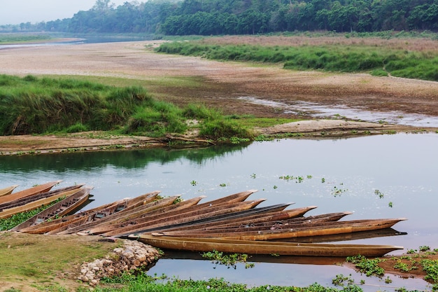 Chitwan en Nepal