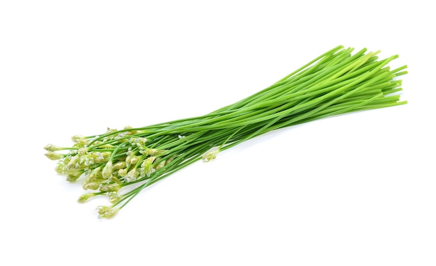 Foto chives chineses isolados em fundo branco