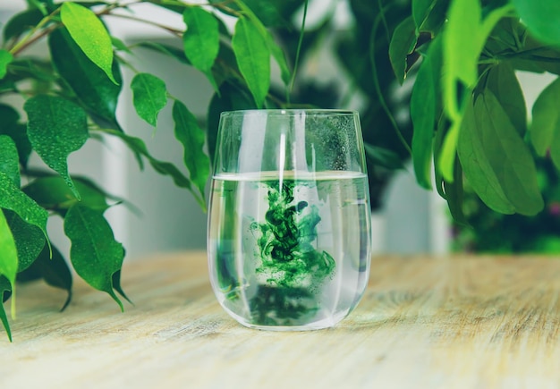 Chlorophyll-Ergänzung in einem Glas Wasser Selektiver Fokus