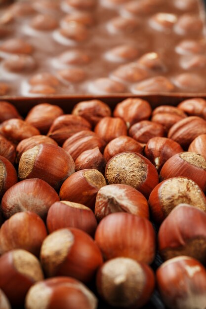 Chocolate con avellanas, nueces con cáscara en forma de textura sólida. Postre-chocolate con leche con nueces.