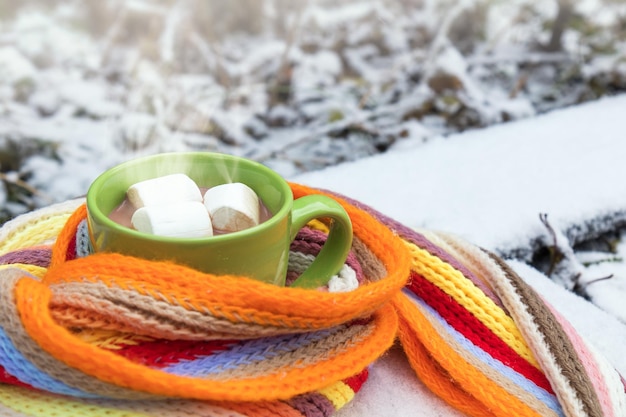 Chocolate caliente con malvavisco en una taza verde envuelto en una acogedora bufanda a cuadros de invierno en la mesa cubierta de nieve en el jardín Coloración y procesamiento de fotografías enfoque selectivo pequeña profundidad de campo