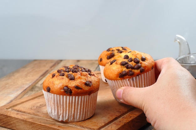 Chocolate Chip Muffins auf grauem Hintergrund