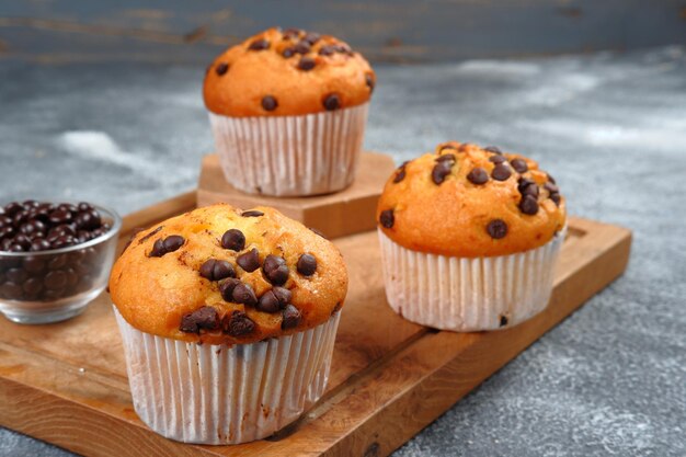 Chocolate Chip Muffins auf grauem Hintergrund