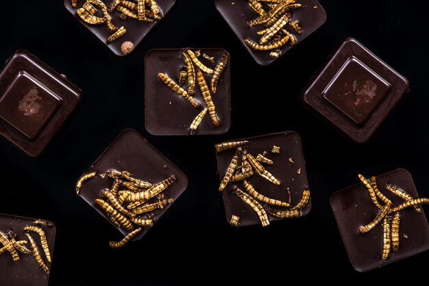 Chocolate con gusanos comestibles tendencias culinarias