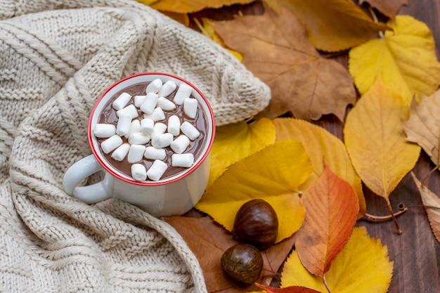 Chocolate quente com marshmallows