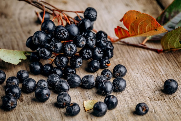 Chokeberry (Aronia melanocarpic) sobre una mesa de madera.