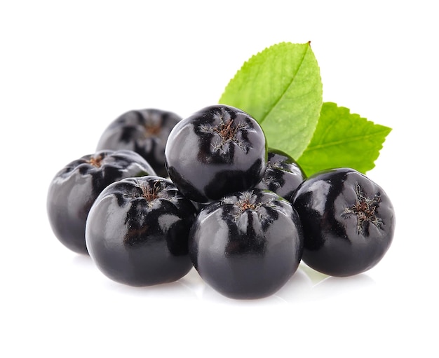 Chokeberry em close-up