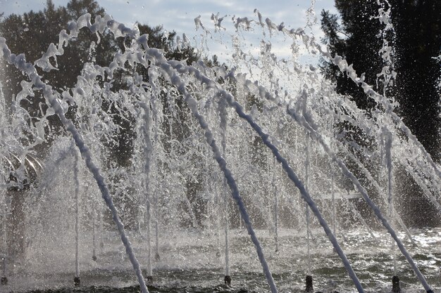 Chorros de agua en arco brillante caen en la fuente