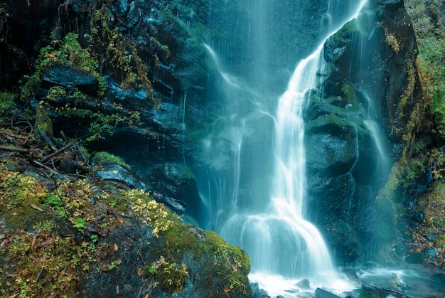 Chorros de cascada escénica en bosque de montaña en Japón