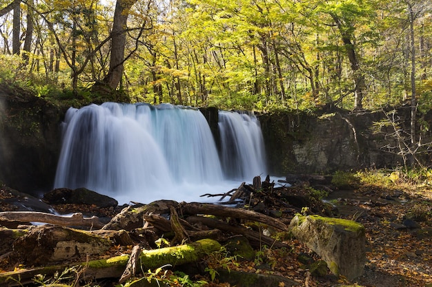 Choshi Ootaki-Wasserfall im Oirase-Strom