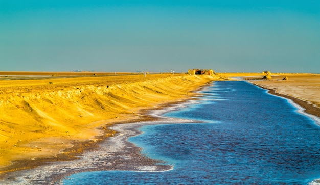 Foto chott el djerid, un lago salado endorreico en túnez