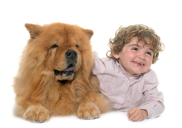 Chow-Chow und Junge