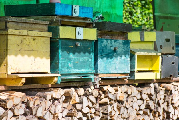 chozas para abejas