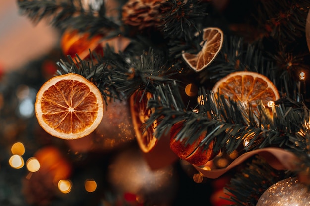 Christbaumzweige dekoriert mit hellen getrockneten Orangen und Mandarinen. Kreative gemütliche Details