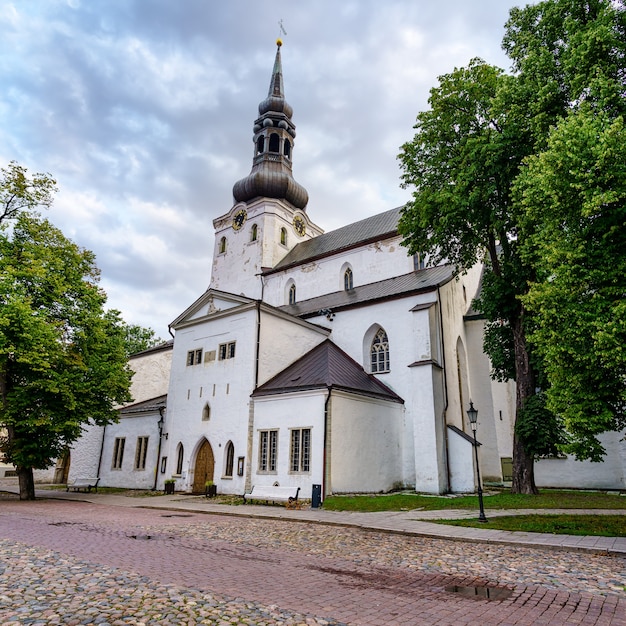 Christliche Marienkirche in der Stadt Tallinn. Estland.