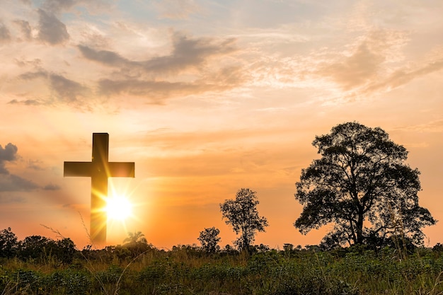 Christliches Kreuz in der Natur