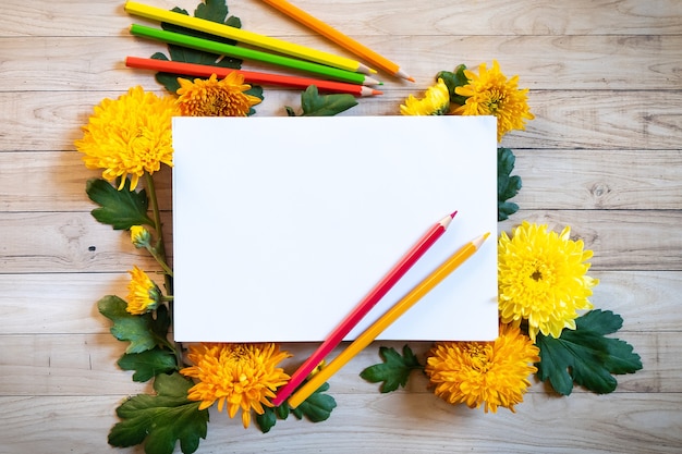 Foto chrysantemum herbststrauß mit stiften kopieren raum blanc papier farbig gefärbt