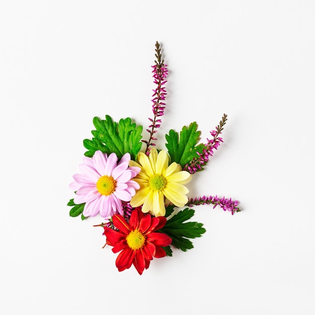 Chrysantheme blüht mit Blättern und Heidezusammensetzung. Herbstblumenarrangement auf weißem Hintergrund. Ansicht von oben, flach. Blumengestaltungselement