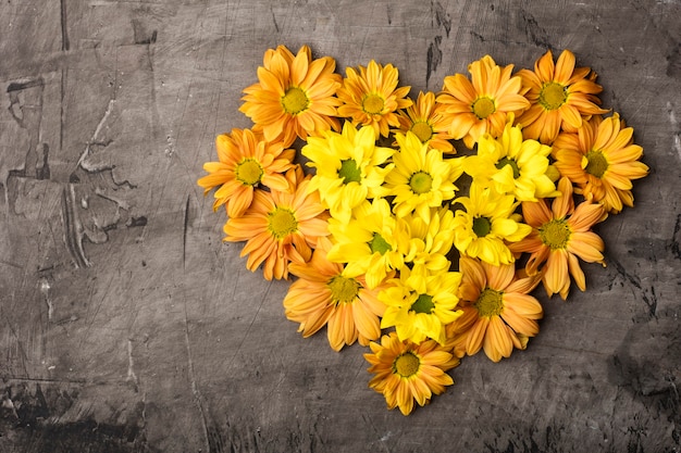 Foto chrysantheme in der form des herzens mit kopienraum auf einem dunklen hintergrund