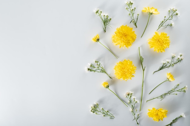 Chrysanthemen- und Schnittblumen-Komposition Muster und Rahmen aus verschiedenen gelben oder orangefarbenen Blüten und grünen Blättern auf weißem Hintergrund Flache Ansicht von oben Kopierraum Frühlings-Sommer-Konzept