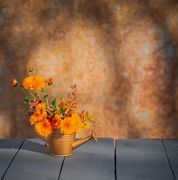 Chrysanthemenblüten in goldener Gießkanne auf einer alten Mauer im Hintergrund im Sonnenlicht