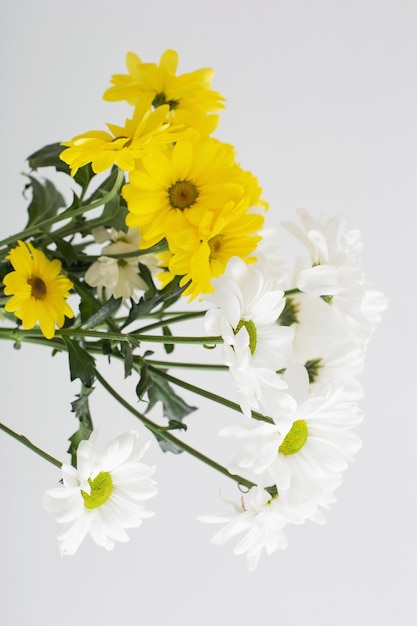 Chrysanthemenblumen im Blumenstrauß auf weißem Hintergrund