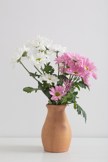 Chrysanthemenblumen in Keramikvase auf weißem Hintergrund