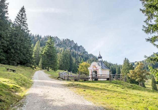 Foto chuch na floresta