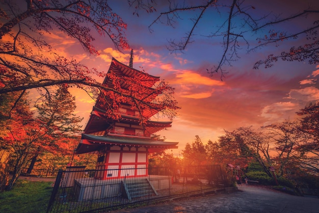 Chureito-Pagode und rotes Blatt im Herbst auf Sonnenuntergang bei Fujiyoshida, Japan.