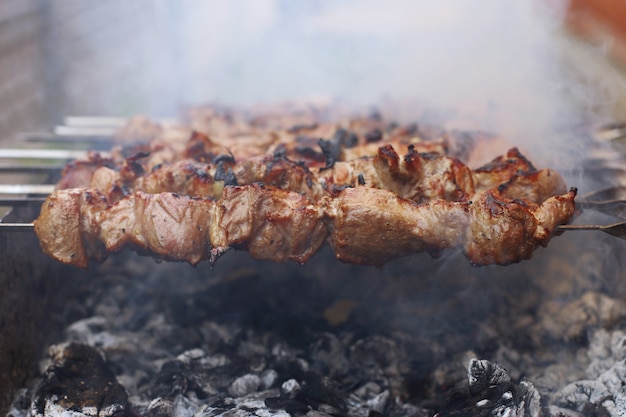 Churrasco na natureza no verão. Carne de porco na fumaça nos carvões, alimento saudável, close up.