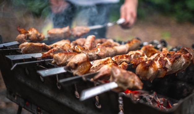 Churrasco na natureza