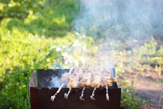 Churrasqueira assada na natureza. Assorted carne de frango e carne de porco e na churrasqueira cozida para o jantar de família de verão