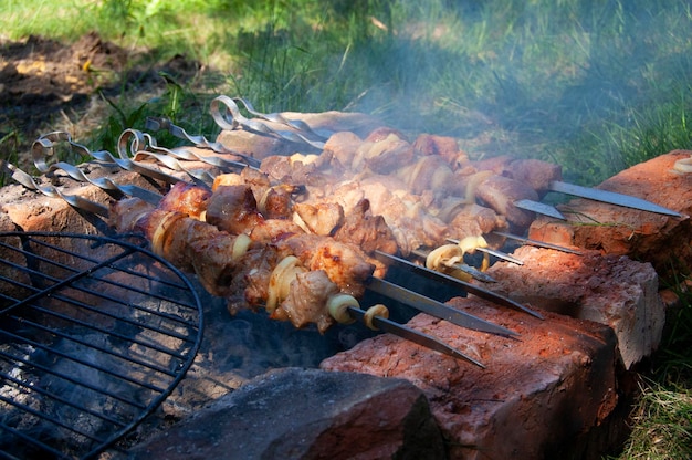 Churrasqueira De Carne