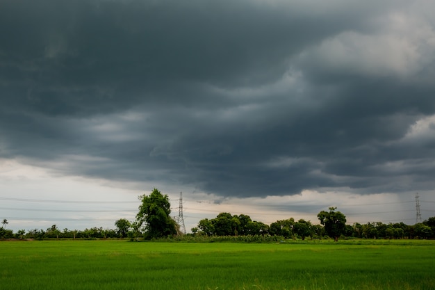 Foto chuva clond em campos