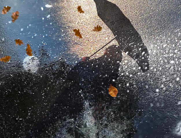 Chuva de outono e folhas amarelas mulher com guarda-chuva siluetthe em poças no asfalto