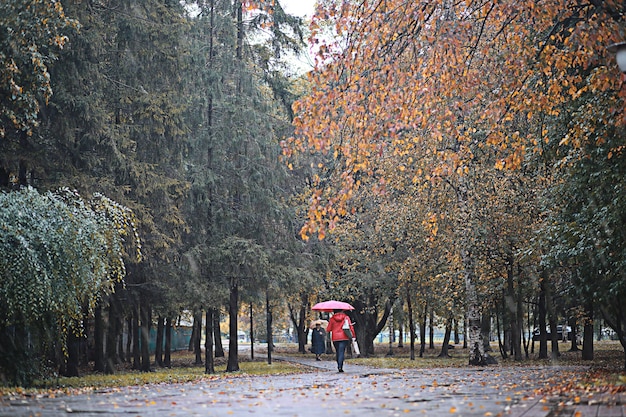 Chuva de outono no parque durante o dia