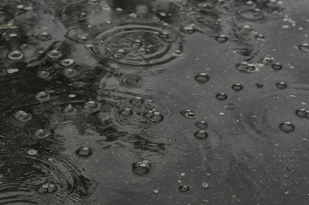 chuva de poça de fundo / círculos e gotas em uma poça, textura com bolhas na água, chuva de outono