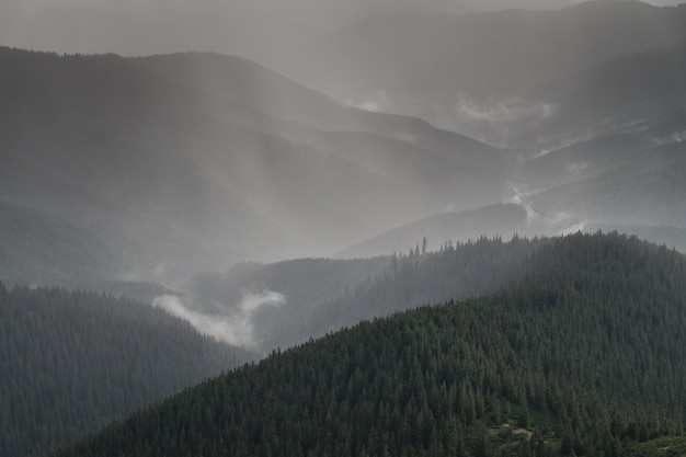 Chuva forte de verão acima da floresta de árvores de peles na área de montanha